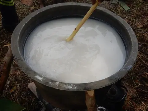 15 Tea in preparation